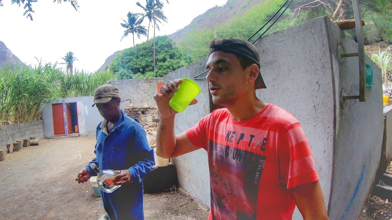 Provando Grogue do Vale do Charco 🇨🇻