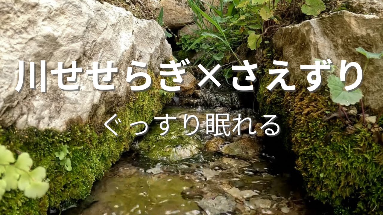 揺らいだ気持ちを落ち着けたい人｜睡眠導入・リラックス｜川のせせらぎ×鳥のさえずり｜2h