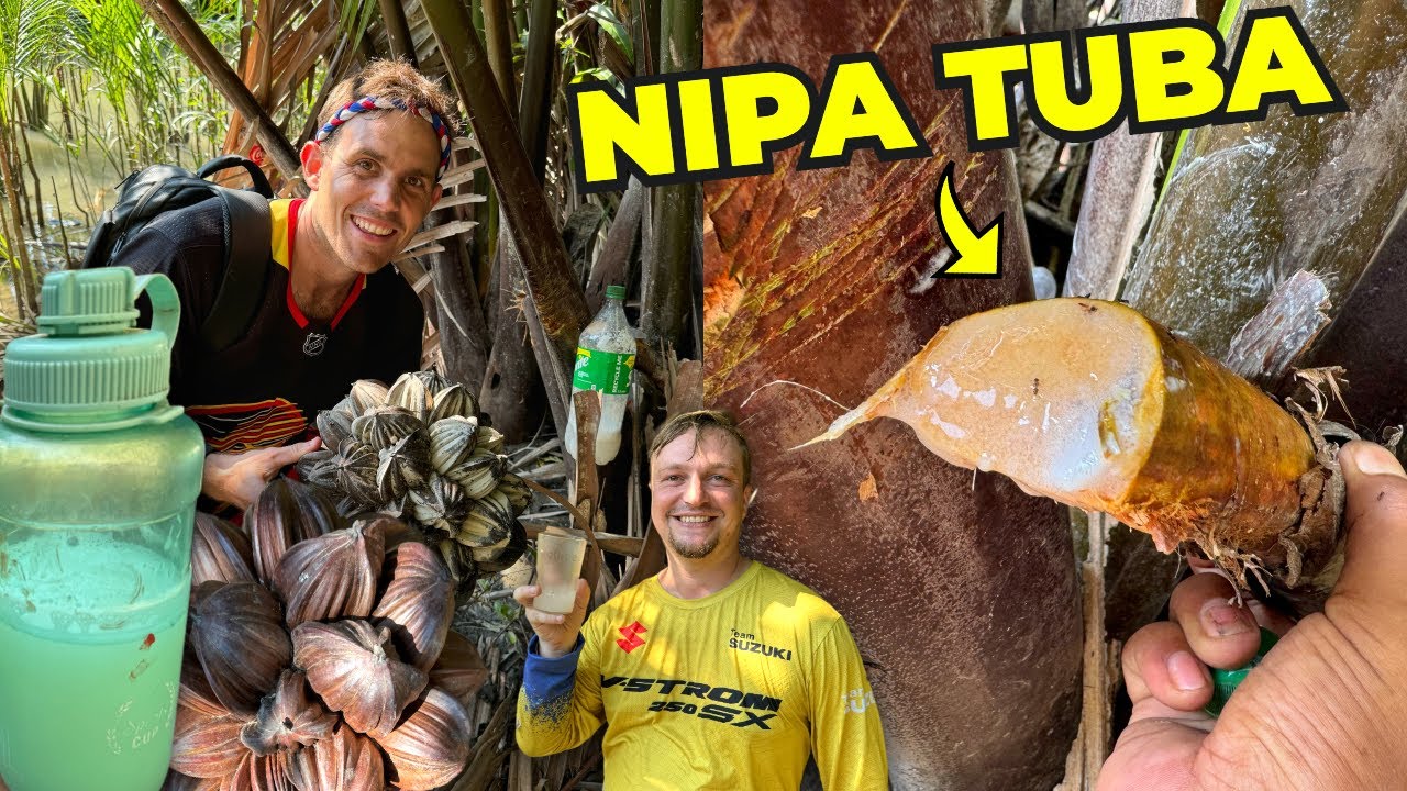Filipino Nipa Tuba - The Sweetest Natural Alcohol? (Philippines)
