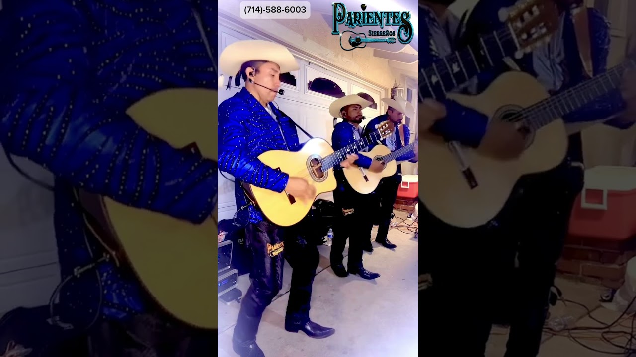 Los Parientes Sierreños * cumbias  mix  En Vivo (2024) 👇👇👍