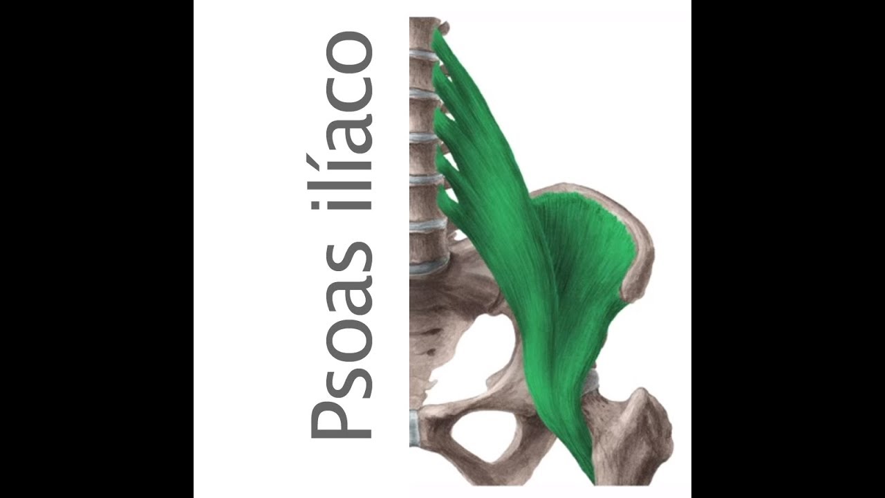 PSOAS ILIACO: ejercicios de estiramiento