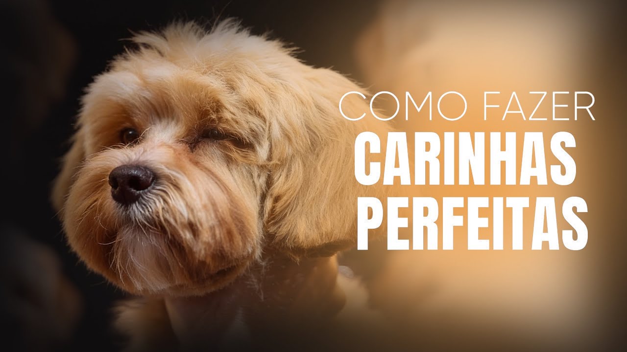 Como fazer CARINHAS PERFEITTAS