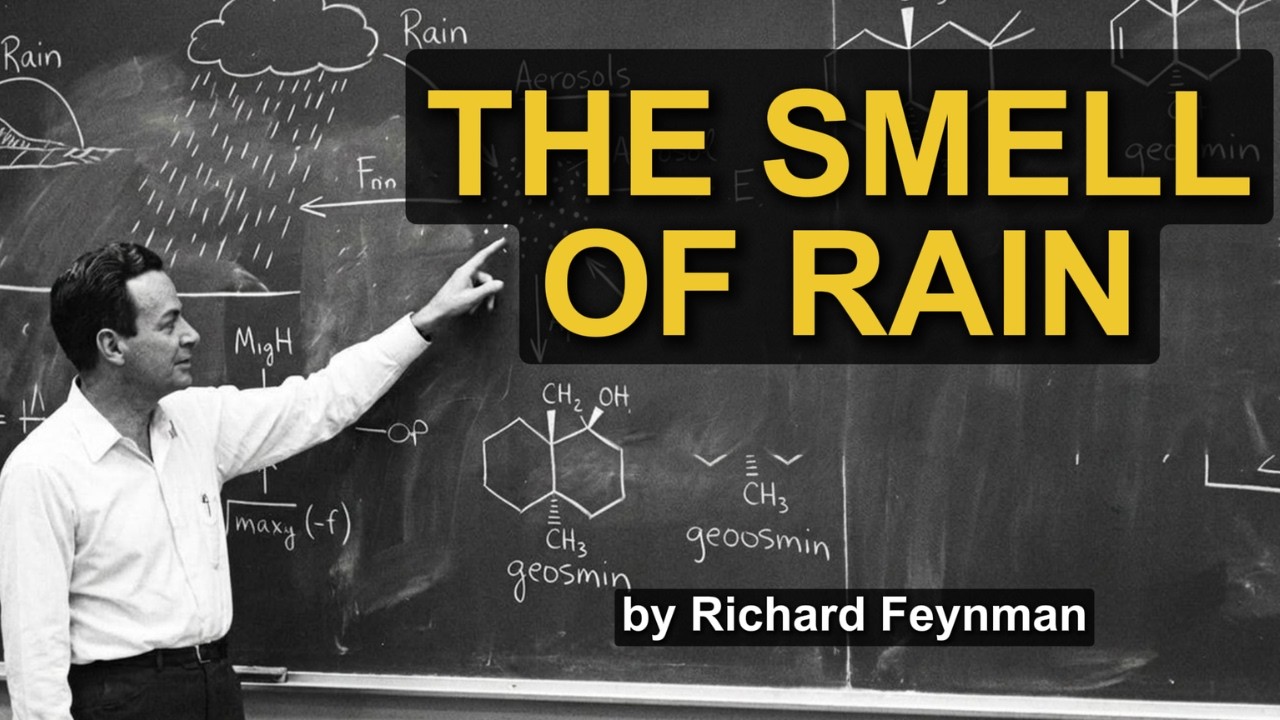 Why the Smell of Rain Makes You Feel Something You Can't Name
