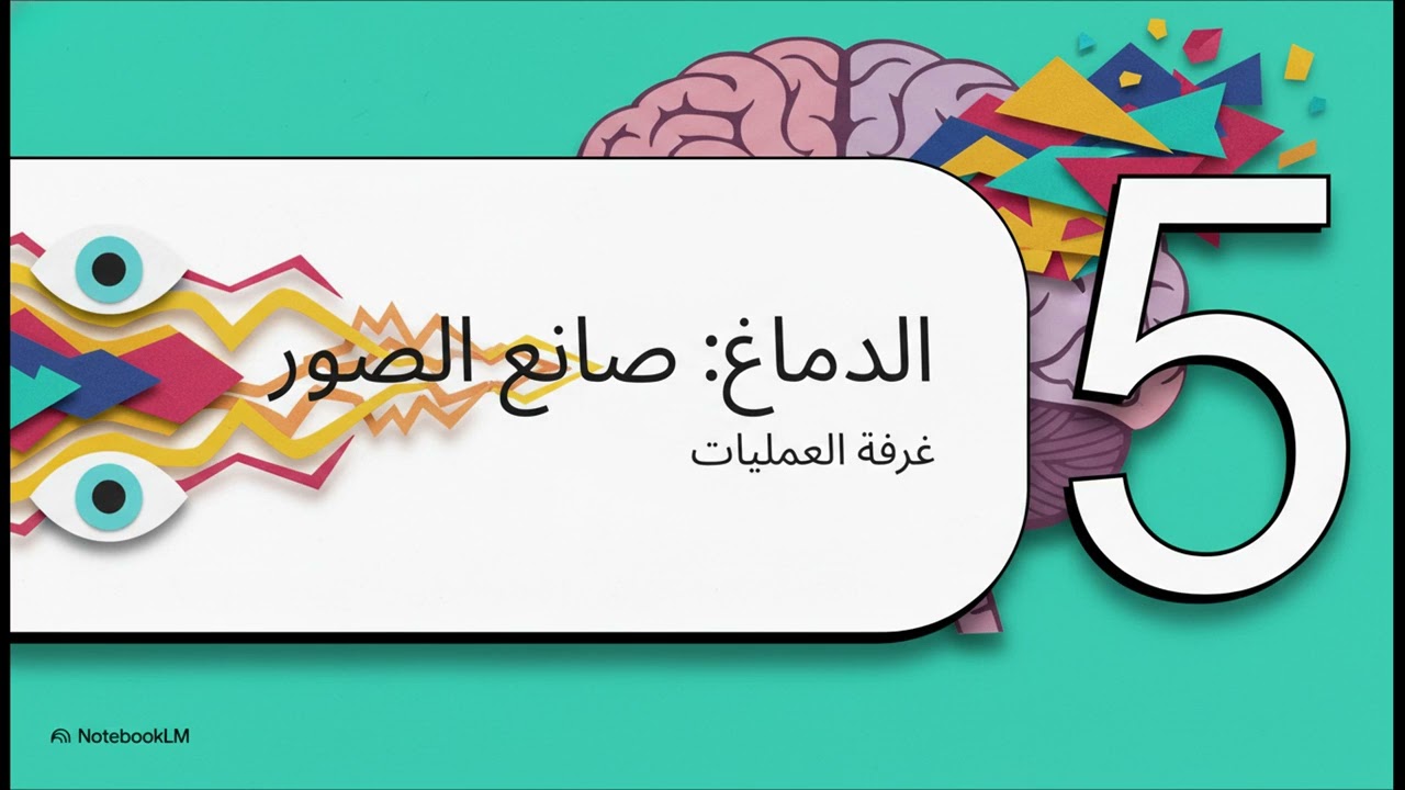 فيزلوجيا الرؤية: رحلة الضوء Vision livel 2