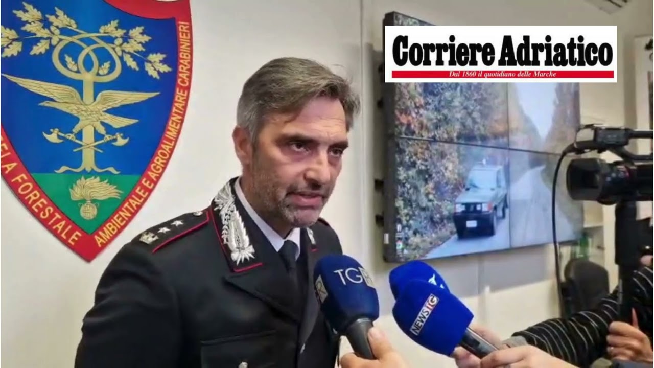 Carcasse di cani vicino all'A14: indagano i Forestali, aperto un fascicolo