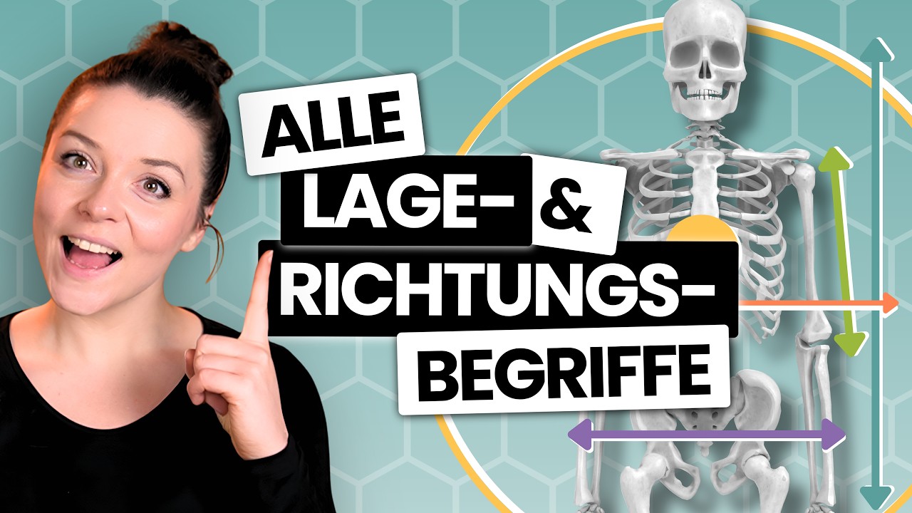 Lage- & Richtungsbegriffe einfach & verständlich erklärt | Anatomie Grundlagen