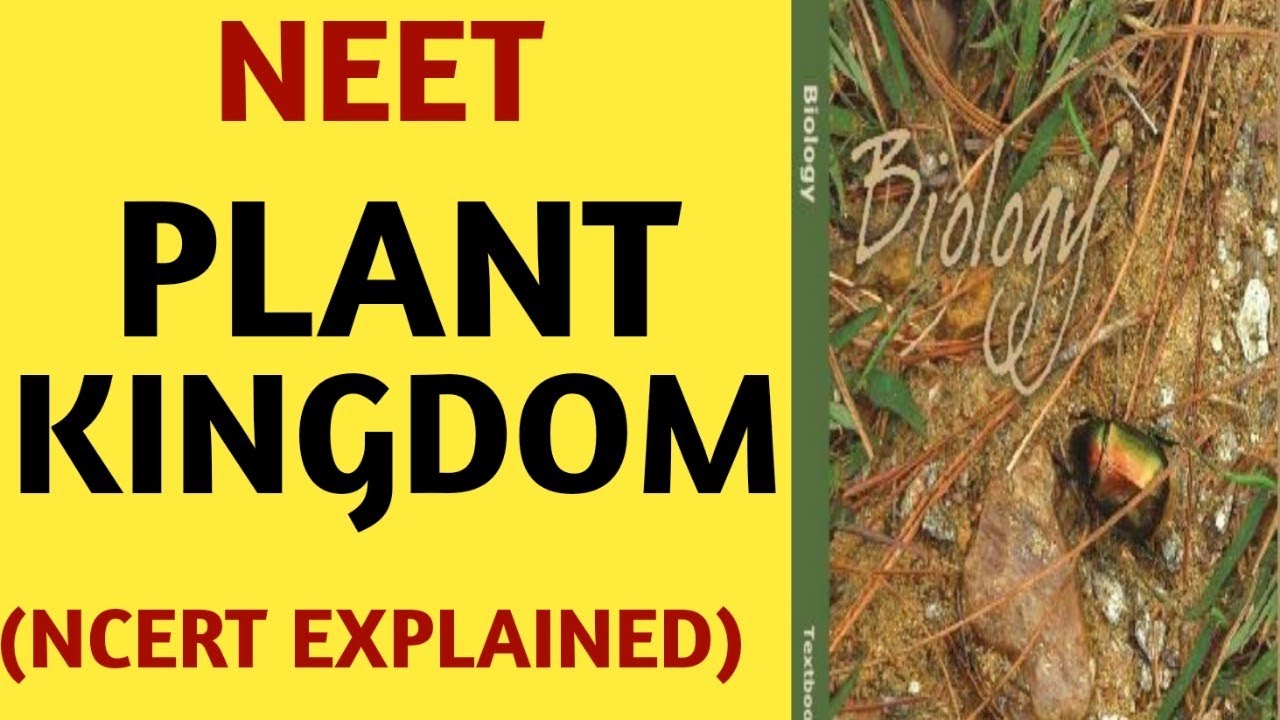 NCERT Chapter 3 Plant Kingdom Class 11 Quick Revision Series for NEET/AIIMS/by Beats For Biology