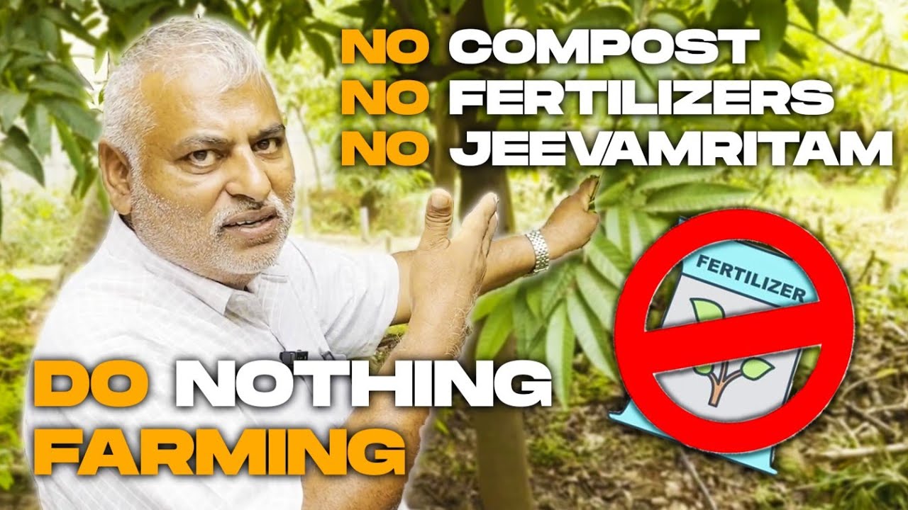 Do Nothing Farming - how to grow food without using any external inputs or additional labour.