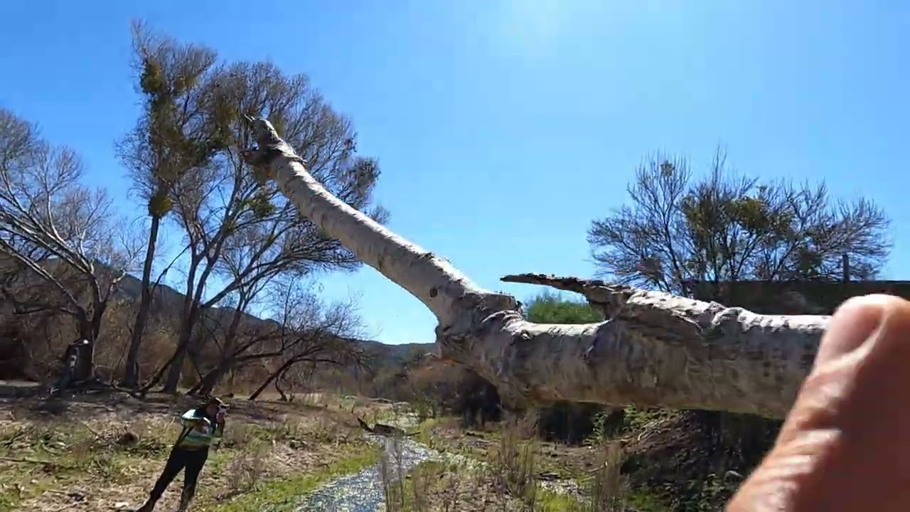 RANCHO MELING, CAMINATA , ESTANQUE LAS RANAS, BAJA CALIFORNIA MEXICO #senderismo