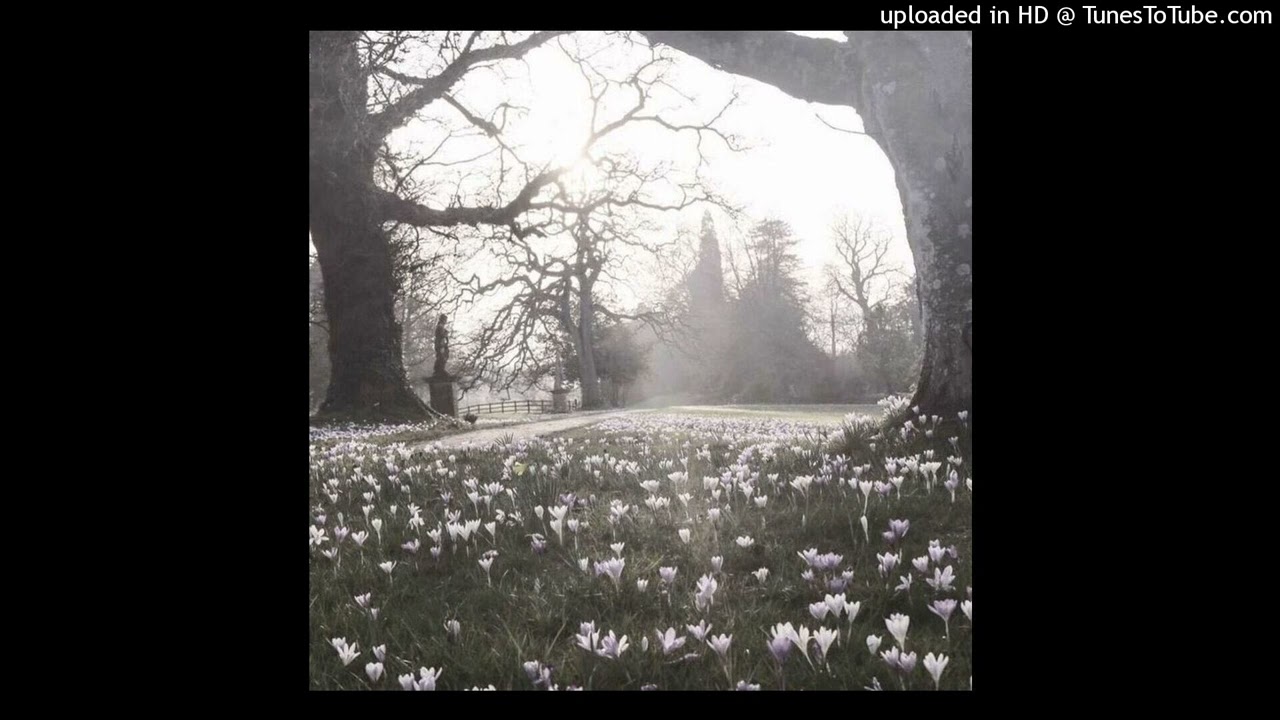 [free] ambient x jersey club x nod walk type beat [font]