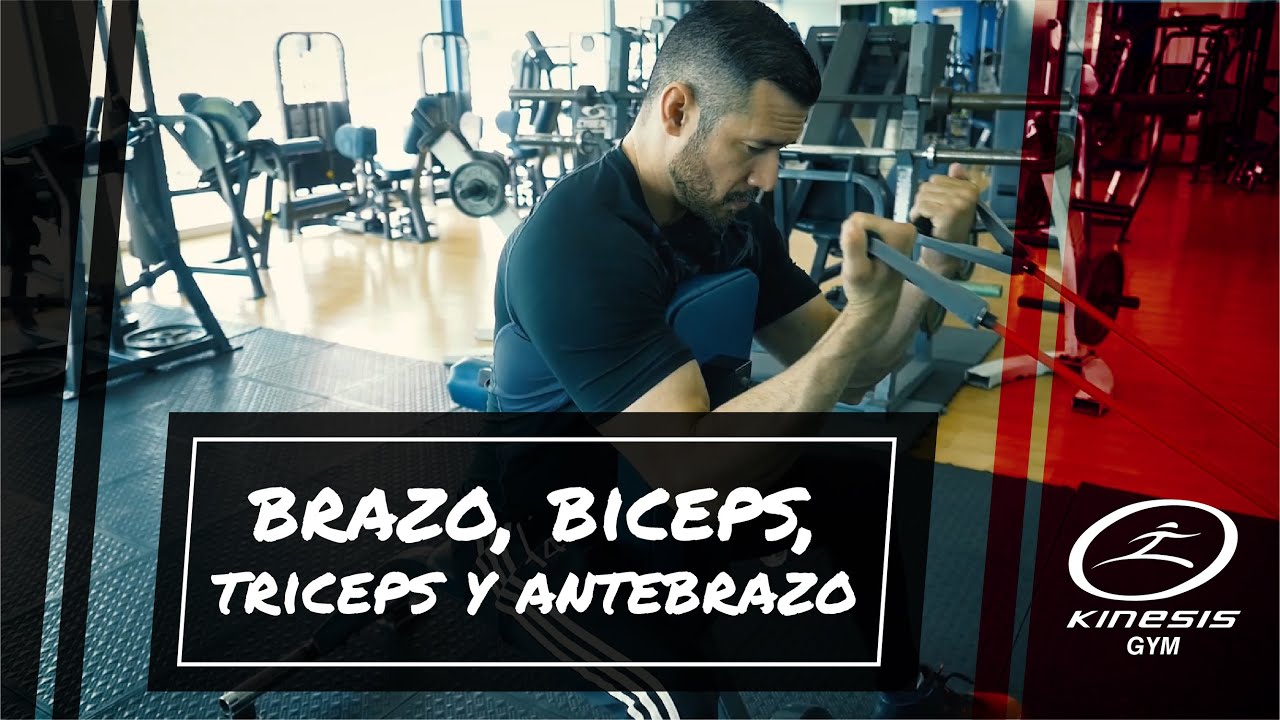 Ejercicios de Brazo en casa con Ligas de Resistencia