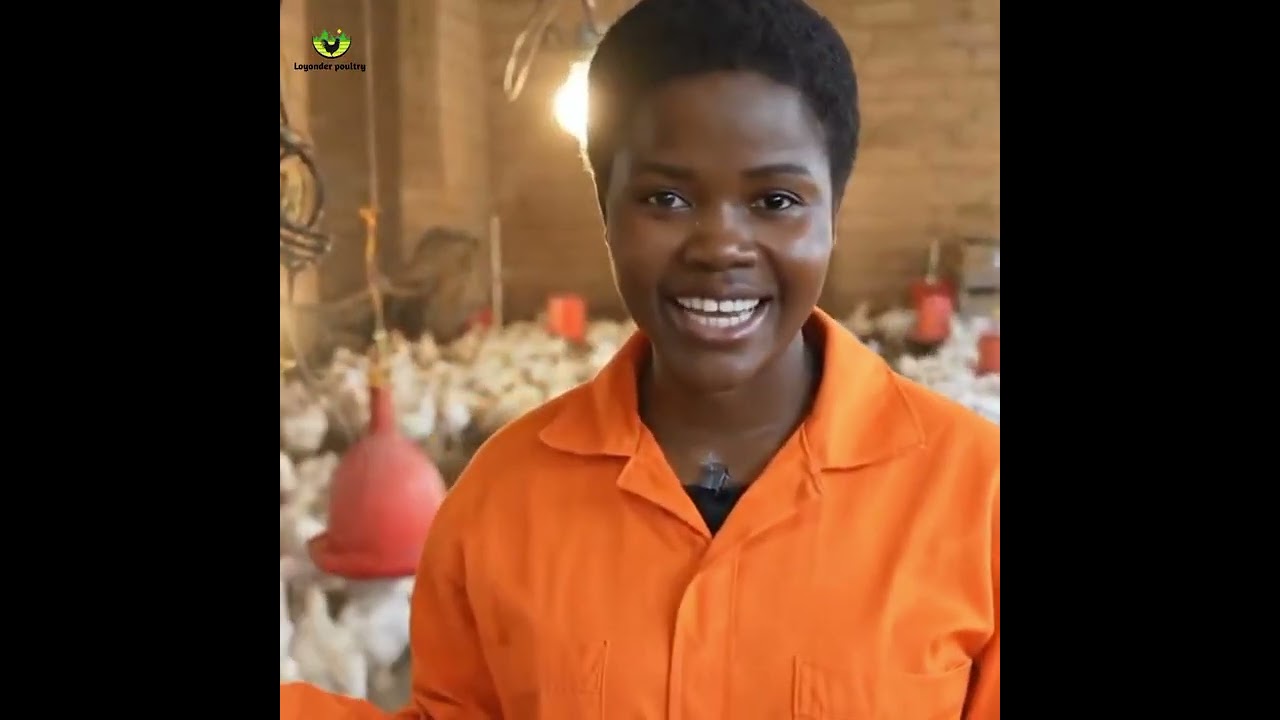 Are you Making Profit or You Are Just Selling Birds! Watch This Video! 