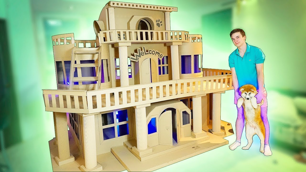 IMPROVED A HUGE HOUSE FOR A PUPPY ! HOUSE OF BOXES !
