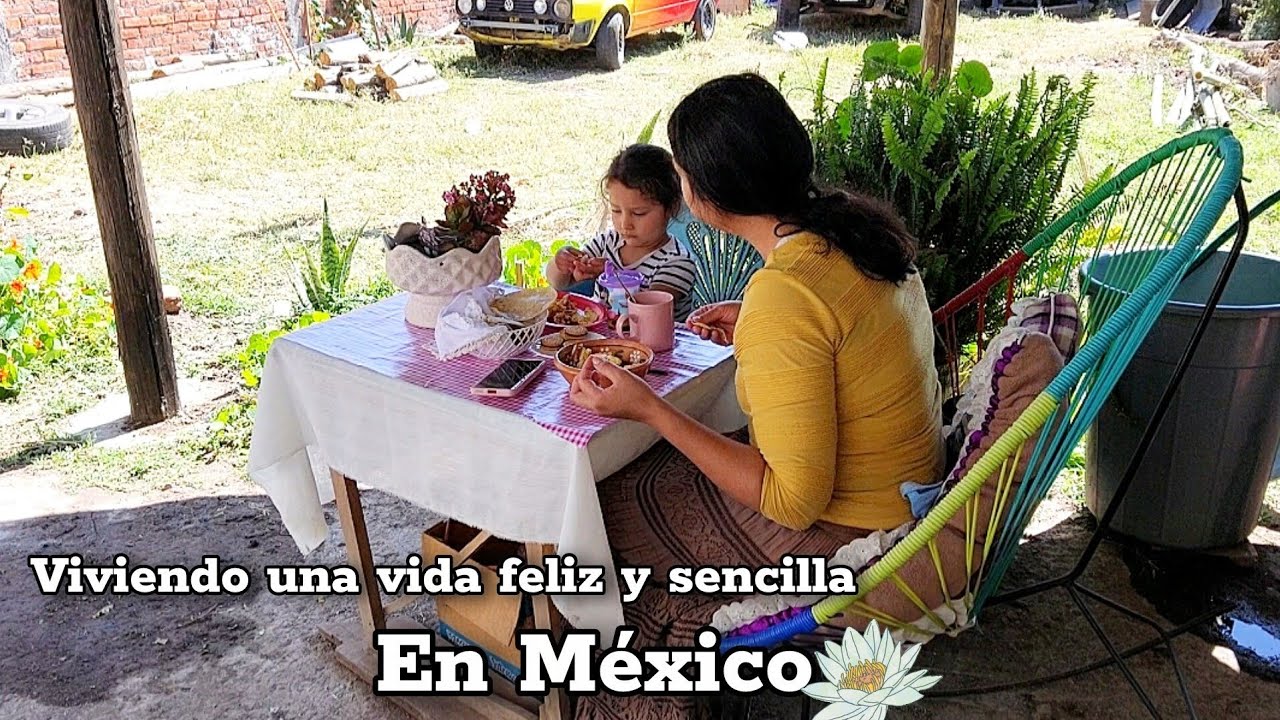 🌷Vida tranquila y humilde|un rincón mejorado con cariño #vidaenmexico #hogaracogedor #limpieza 