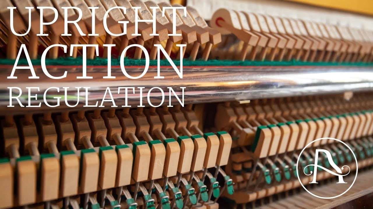 Upright Action Regulation and Q&A!