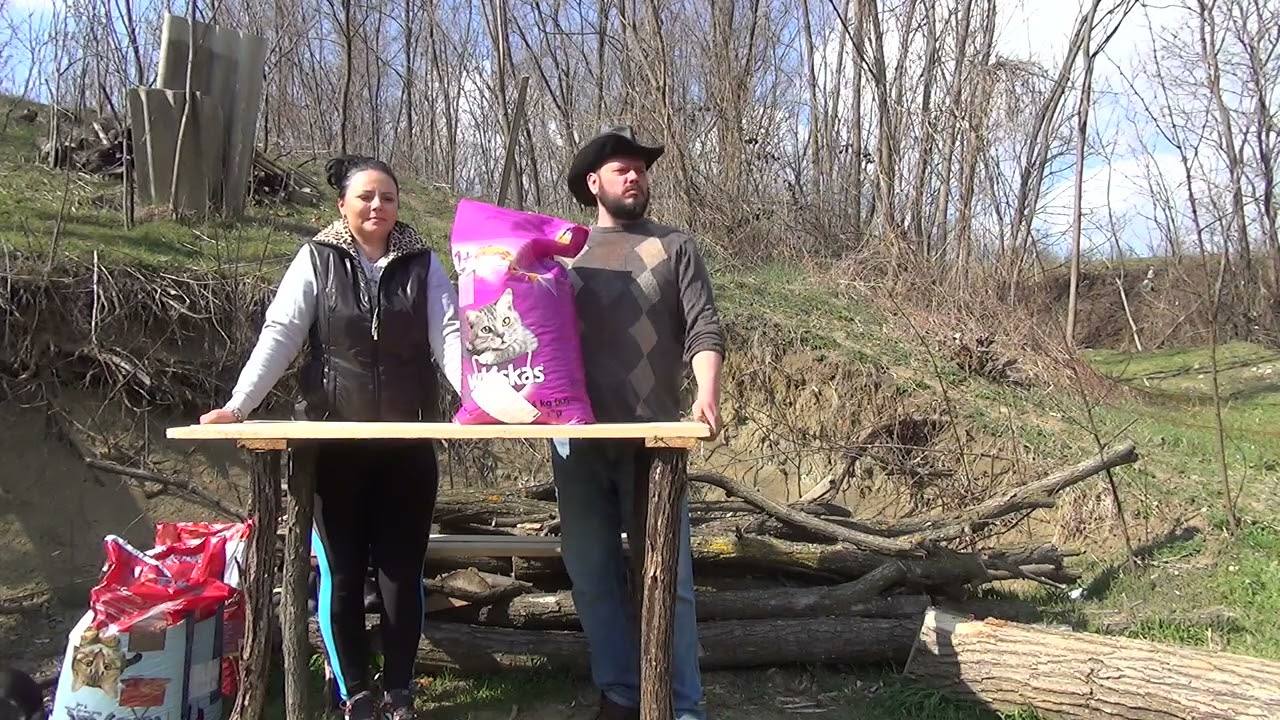 Am primit mancare pentru pisici si caini de la Mihai din Anglia