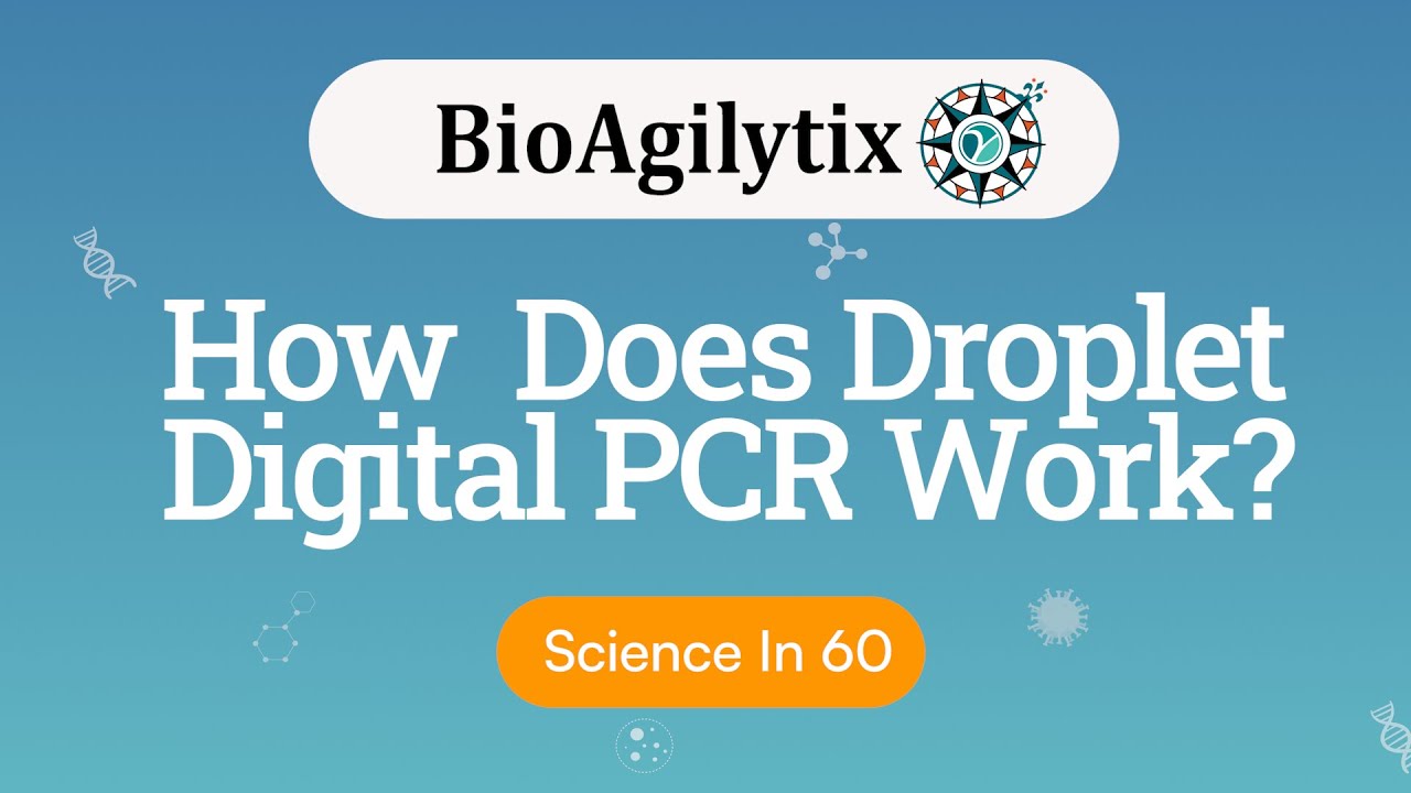 How does Droplet Digital PCR work? | Science in 60 Seconds