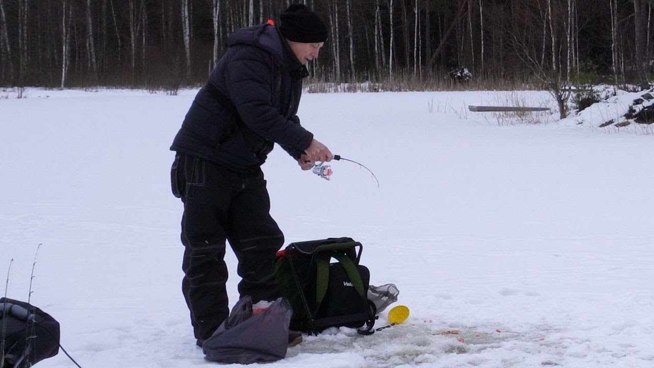 Dags igen att pimpla Regnbåge