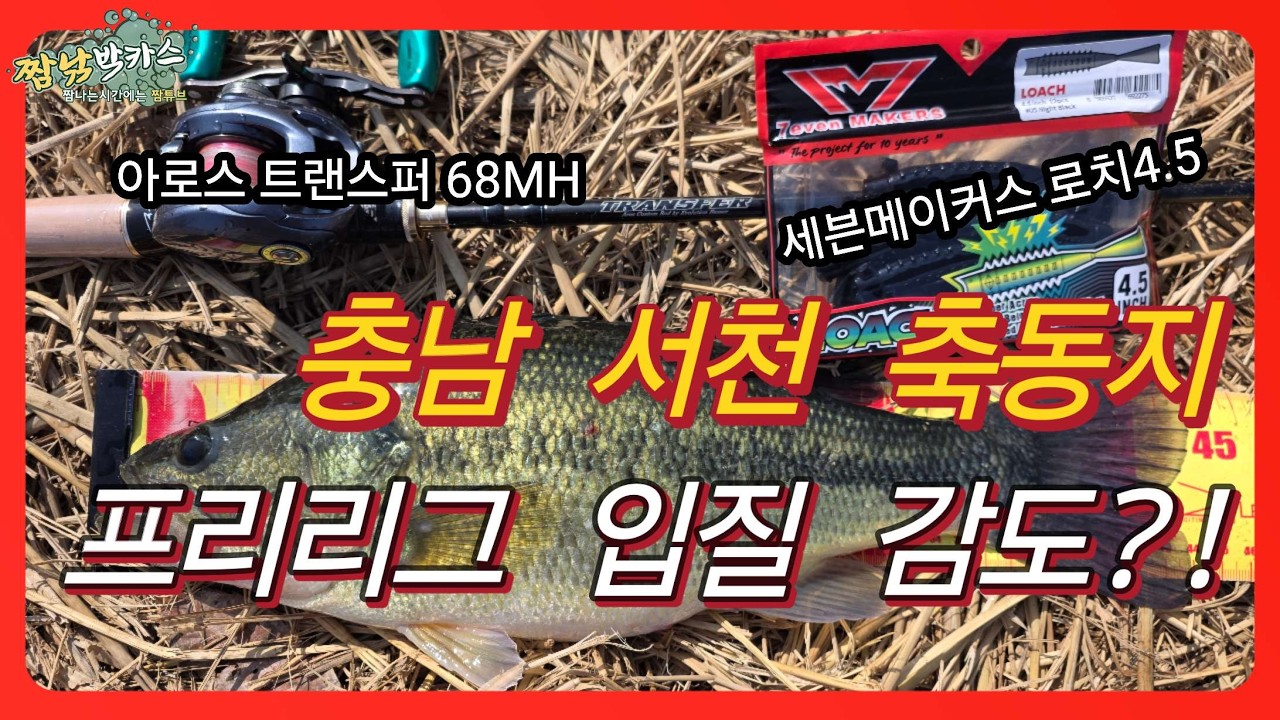 배스낚시 충남서천 축동지 로치4.5 프리리그! 봄배스 덩어리 입질! #프리리그 #신상웜 #세븐메이커스 #로치4.5 #아로스 #트랜스퍼 #배스낚시 #bassfishing #봄배스