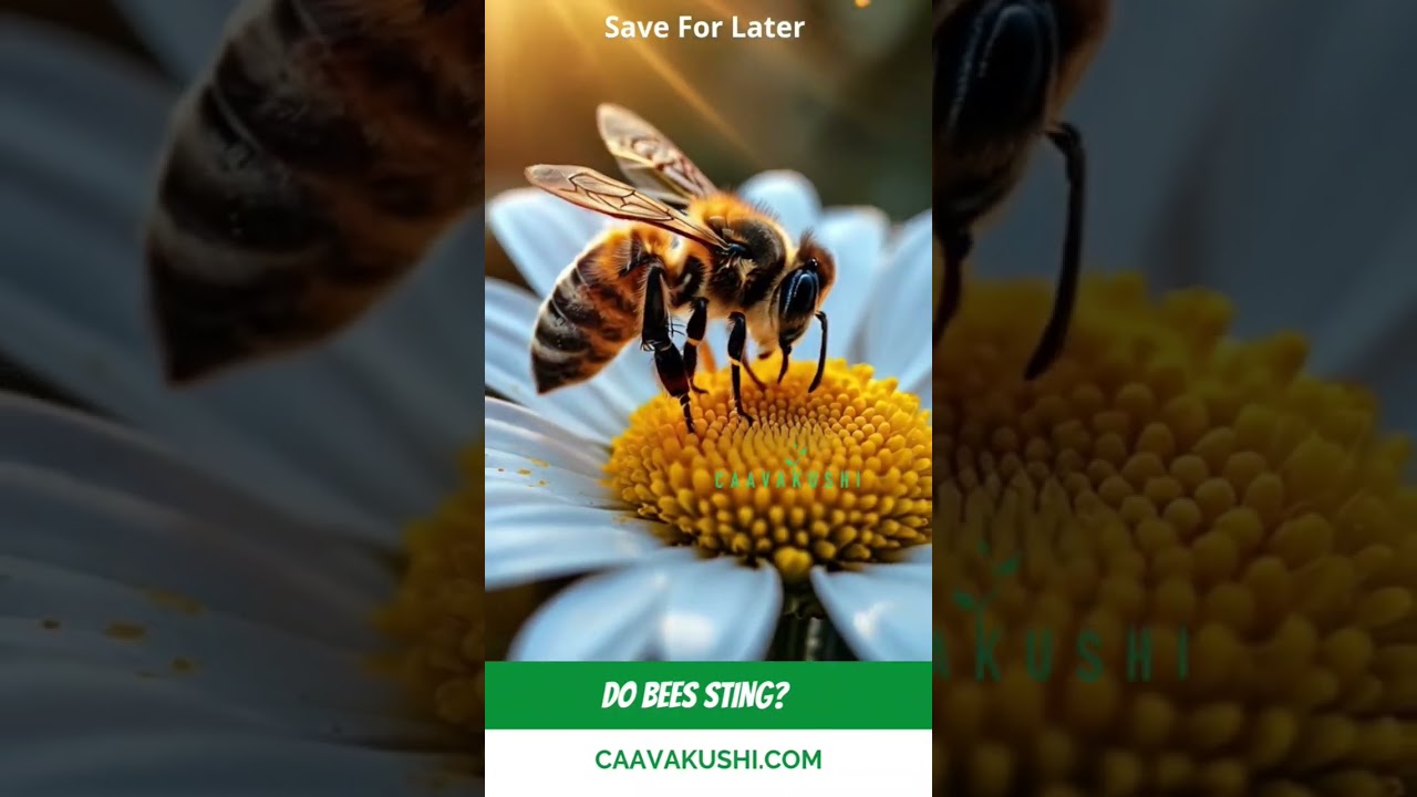 Do bumble bees sting? 