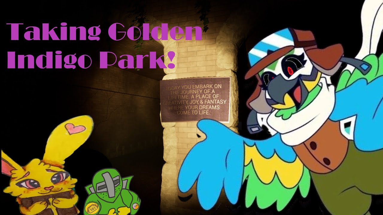 Colin takes Golden to indigo park