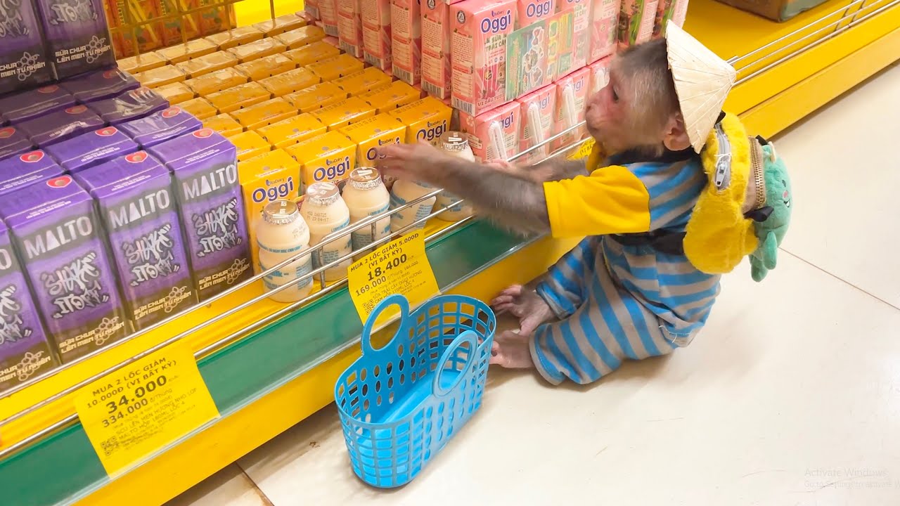 Too Cute to Miss!CUBIS Asks Dad for Money to Buy His Favorite Snacks