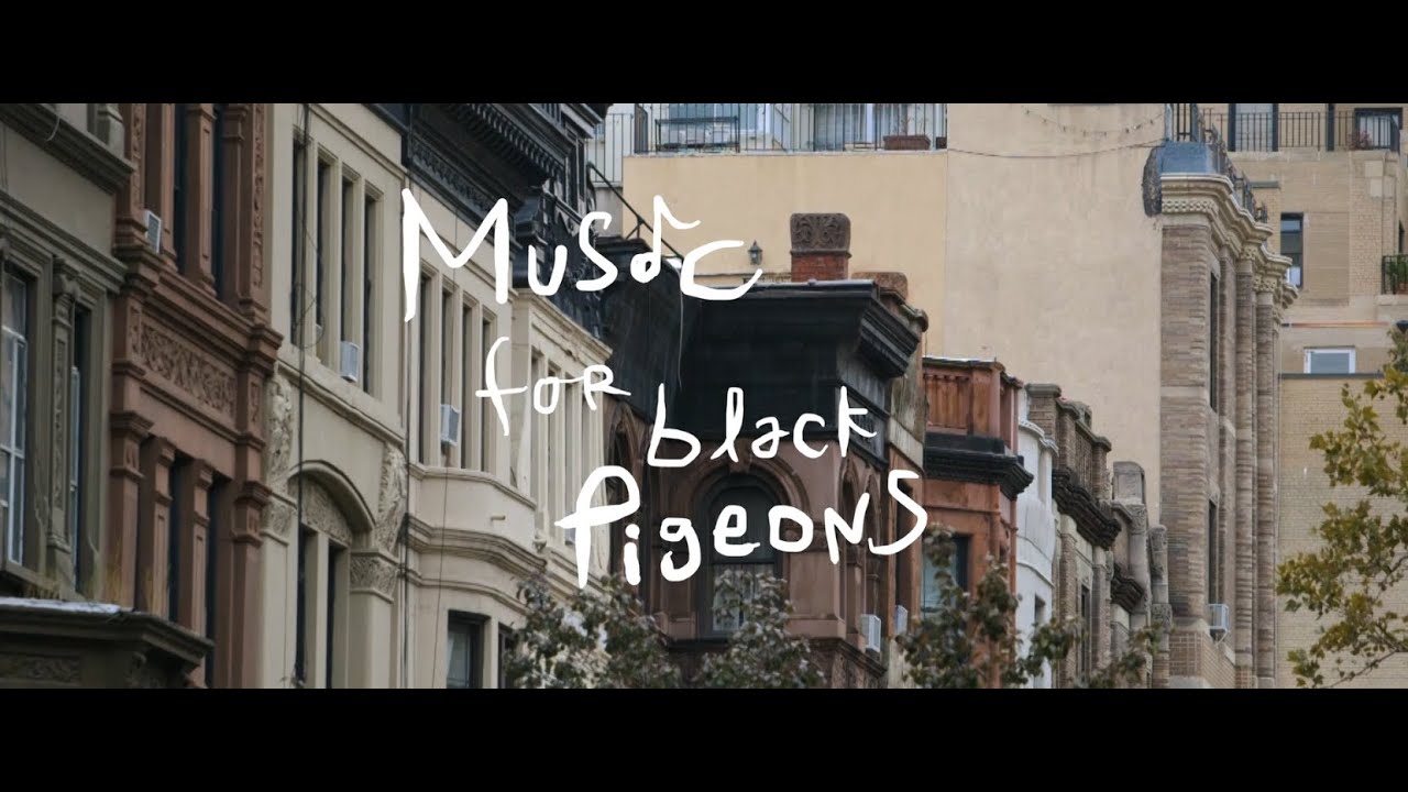 Music For Black Pigeons - Official Trailer
