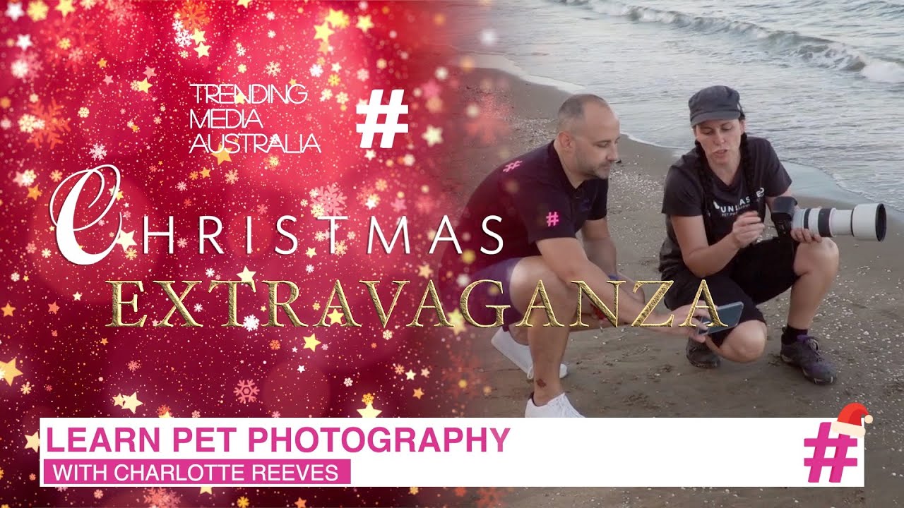 Pet Photography Tips with Charlotte Reeves | Christmas Extravaganza