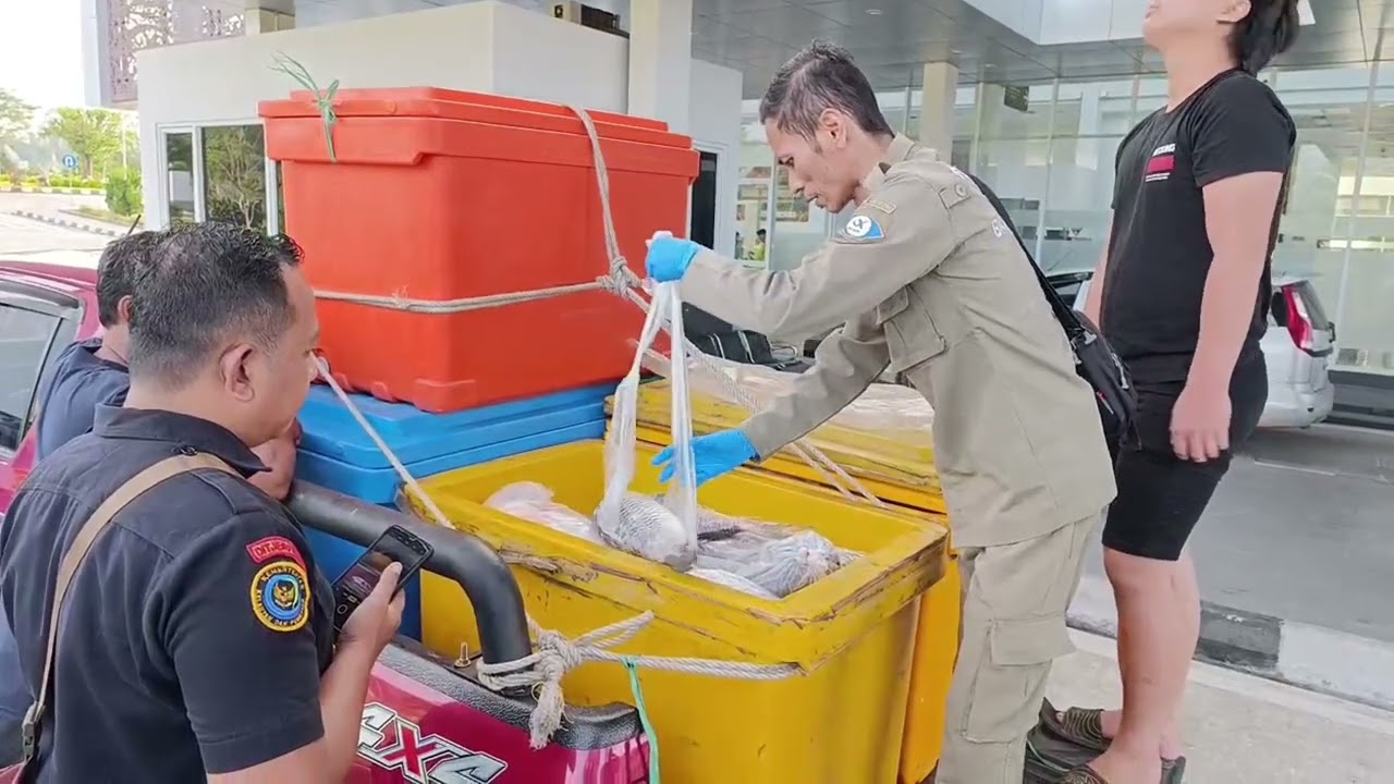 Video Profil kantor Bea Cukai Nanga Badau