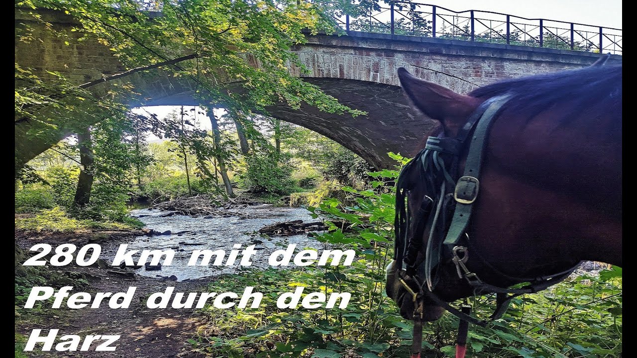 Wanderritt 280 km mit dem Pferd durch den Harz | Wanderreiten Doku | Horse Trail Ride Germany