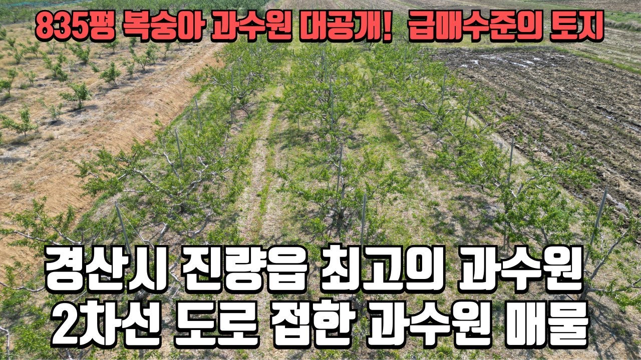 경산시 진량읍 2차로 잘접한 8백평대 급매 토지 684