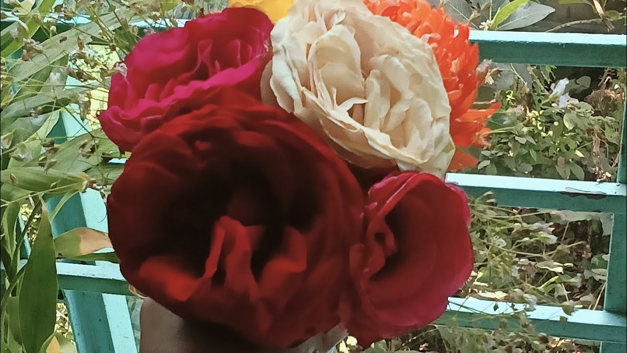 বাড়ির কালীপুজোর কেনা কাটি।।   বাইরে গিয়ে হলো শরীর খরাপ।। 🧿🥺❤️