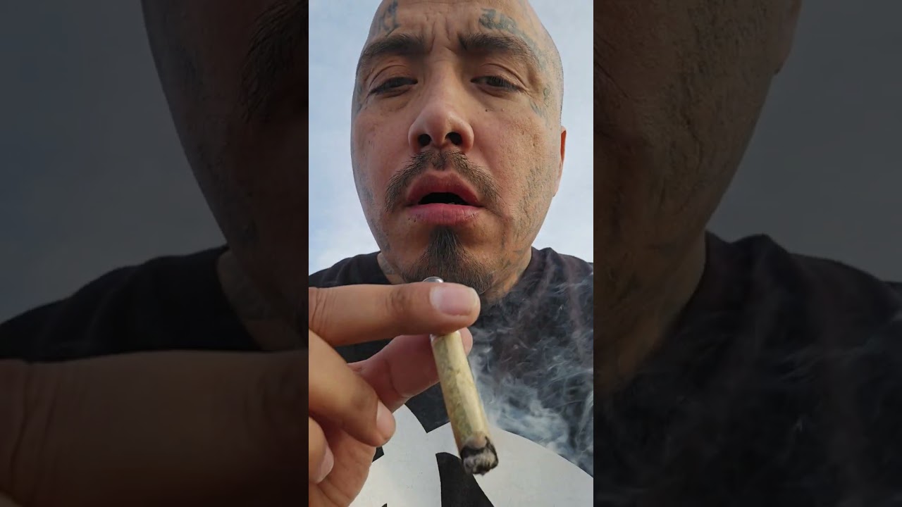 Punch Rocket Hash Hole by Punch x C.A.M Bubbas Girl x Forbidden BluePrint.