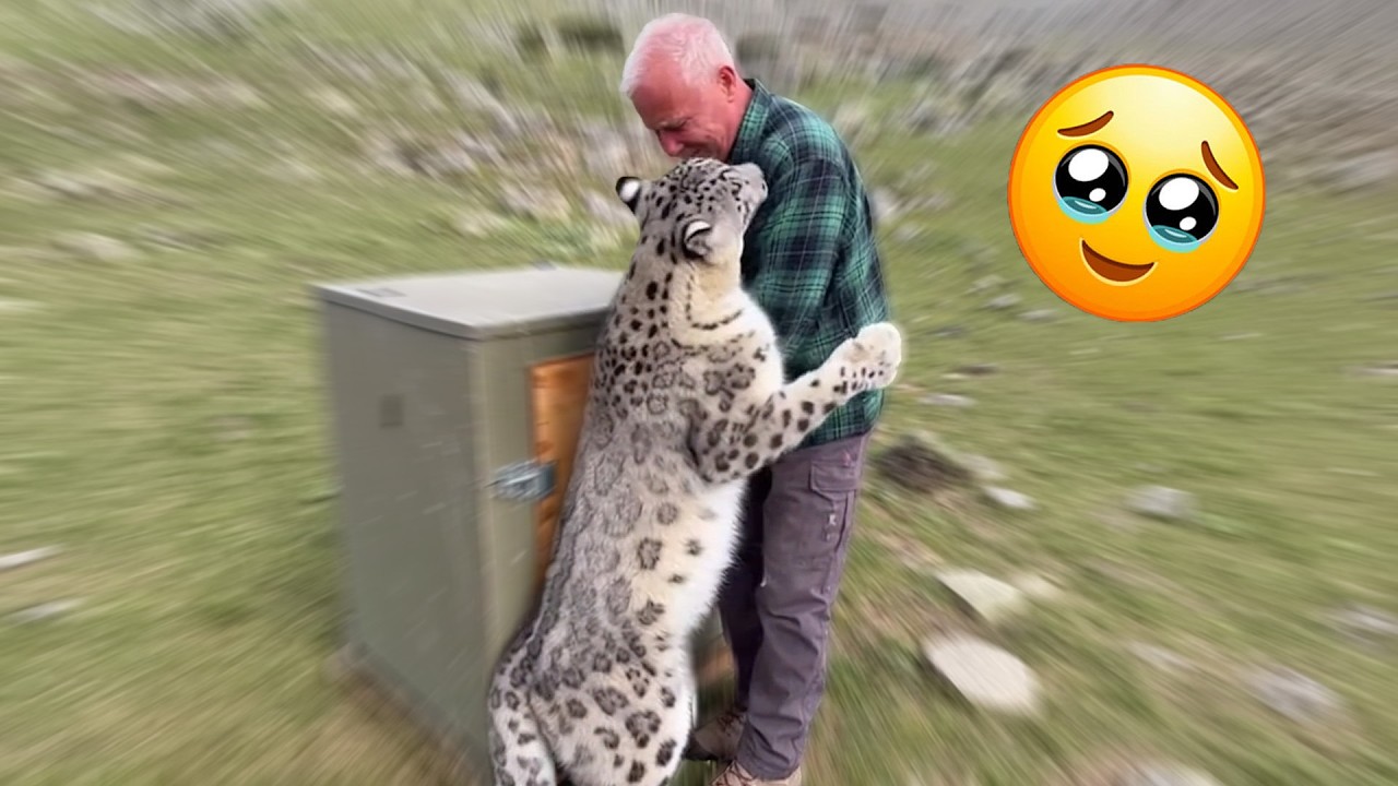 Animals Never Forget Love… These Moments Prove It.