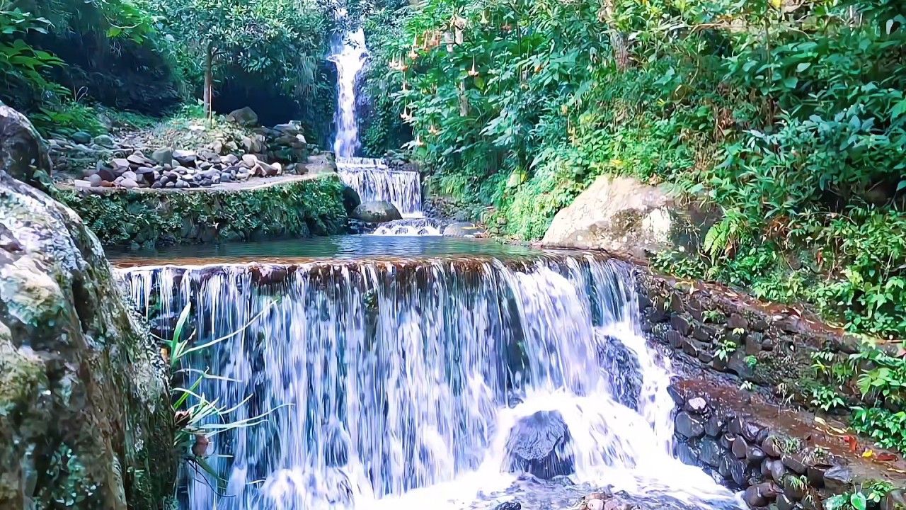 Forest River Ambience for Deep Calm