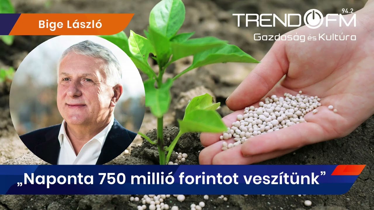 Bige László: „Naponta 750 millió forintot veszítünk” | Trend FM