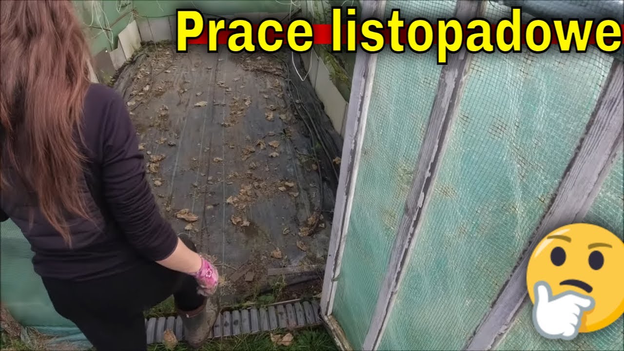 Jesień w ogrodzie, ostatnie porządki. Topienie wosku i organizacja siana.