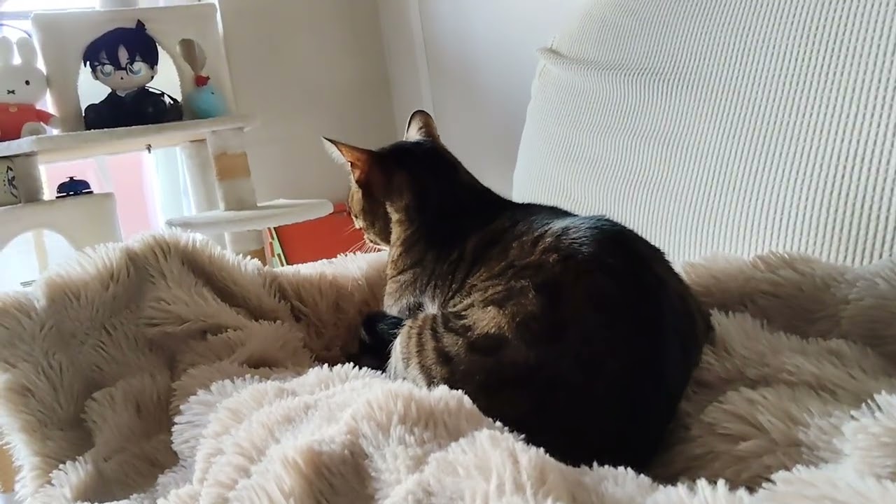 甘えん坊😻