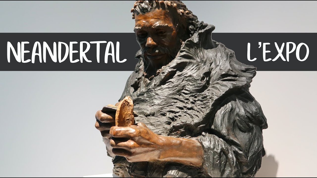 Néandertal L'Expo - Musée de l'Homme