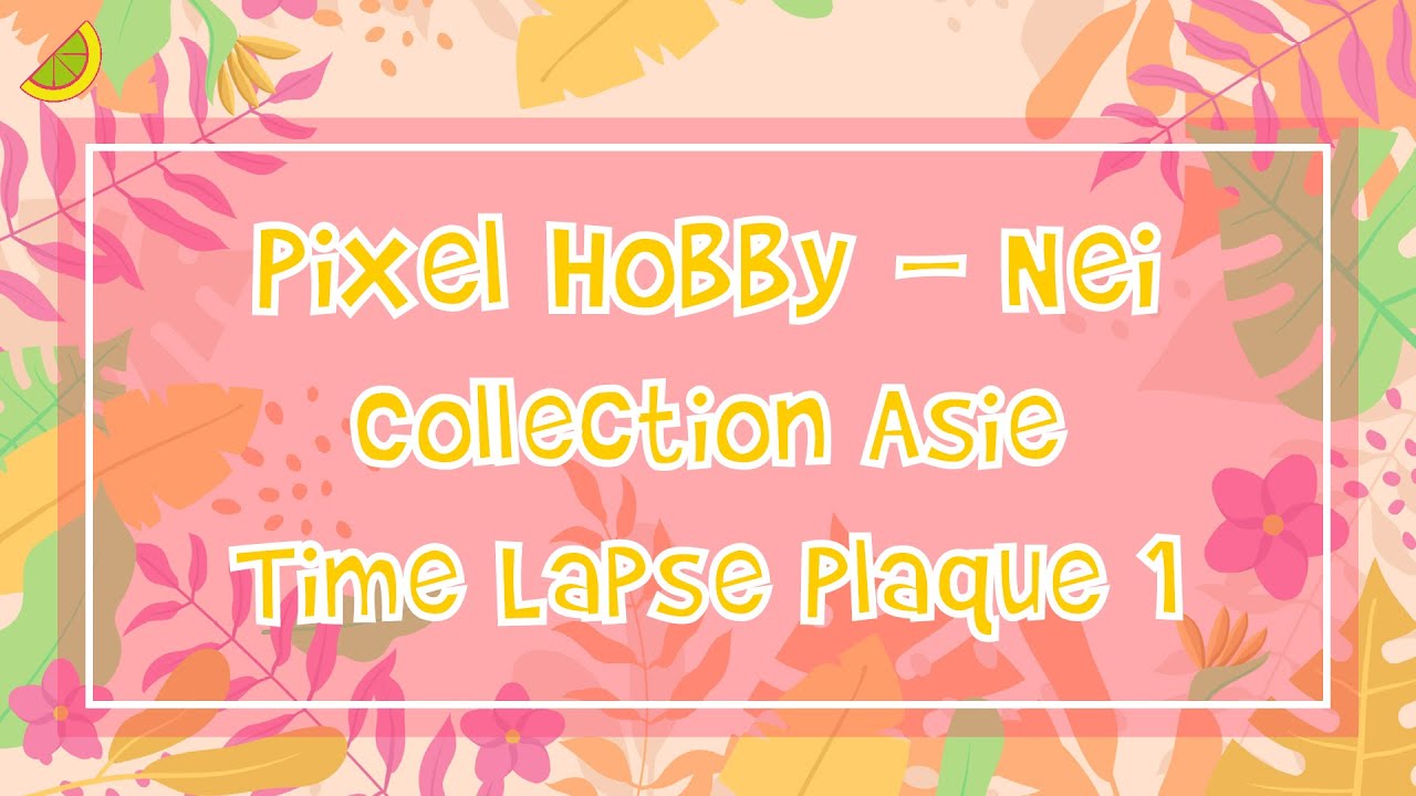 [Pixel Hobby] Nei Collection Asie - TimeLapse Plaque 1 #pixelhobby