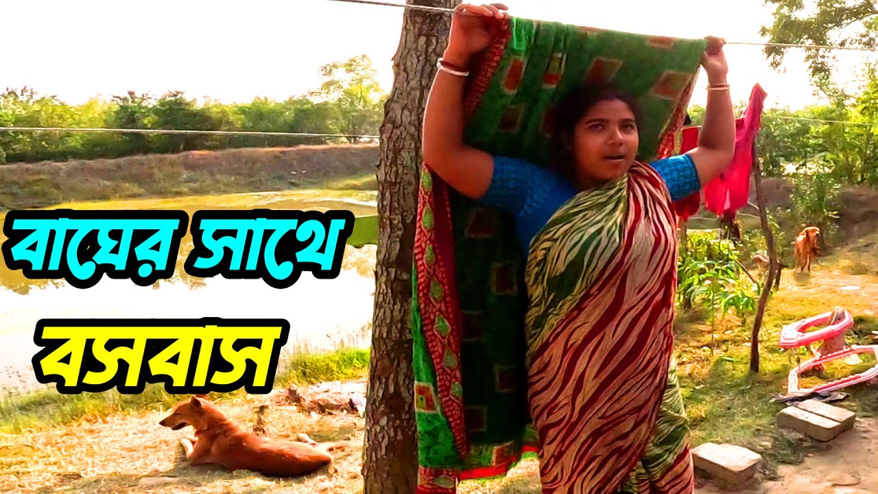সুন্দরবনের বাঘ দেখতে চাইলে নিজের রিস্কে এই গ্রামে ঘুরে এসো। Sundarban Tour | Sundarban village life