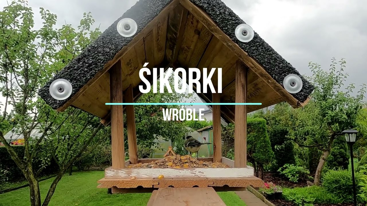 Sikorki i Wróble