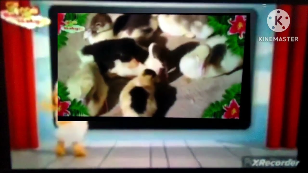 Baby TV Go Eco Ads 