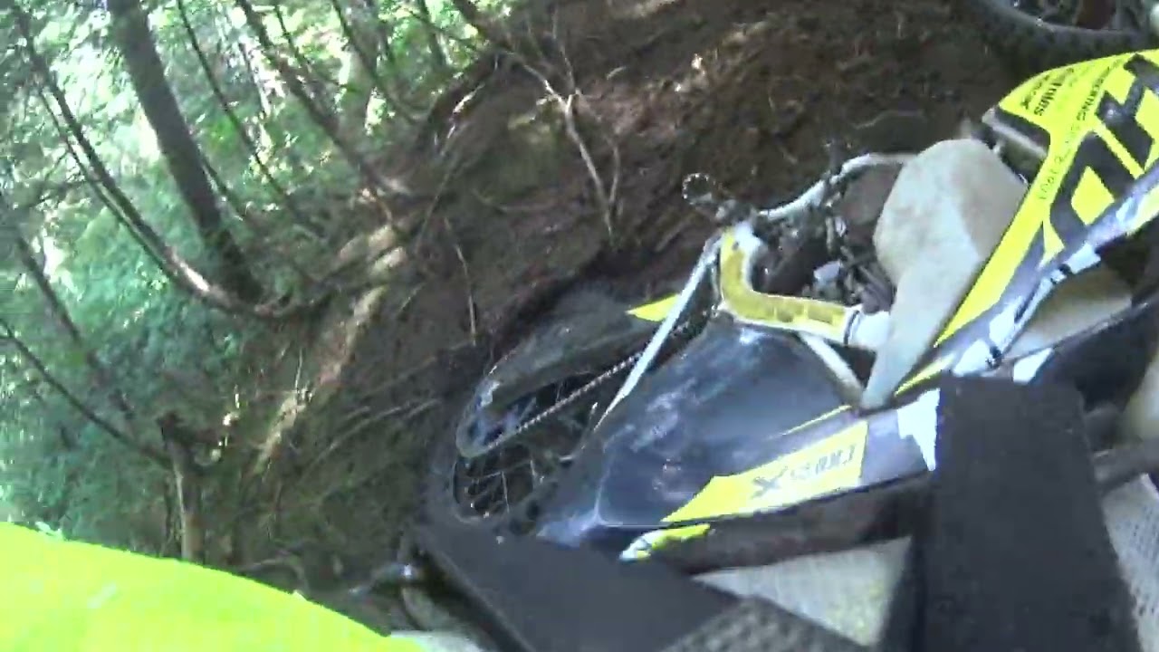Awesome forest ride part 3