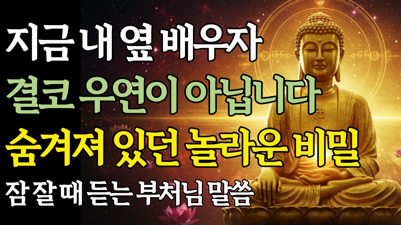 부부 인연의 놀라운 비밀! 모든 갈등이 사라지는 부처님 말씀ㅣ사랑과 깨달음의 길ㅣ불교 명언