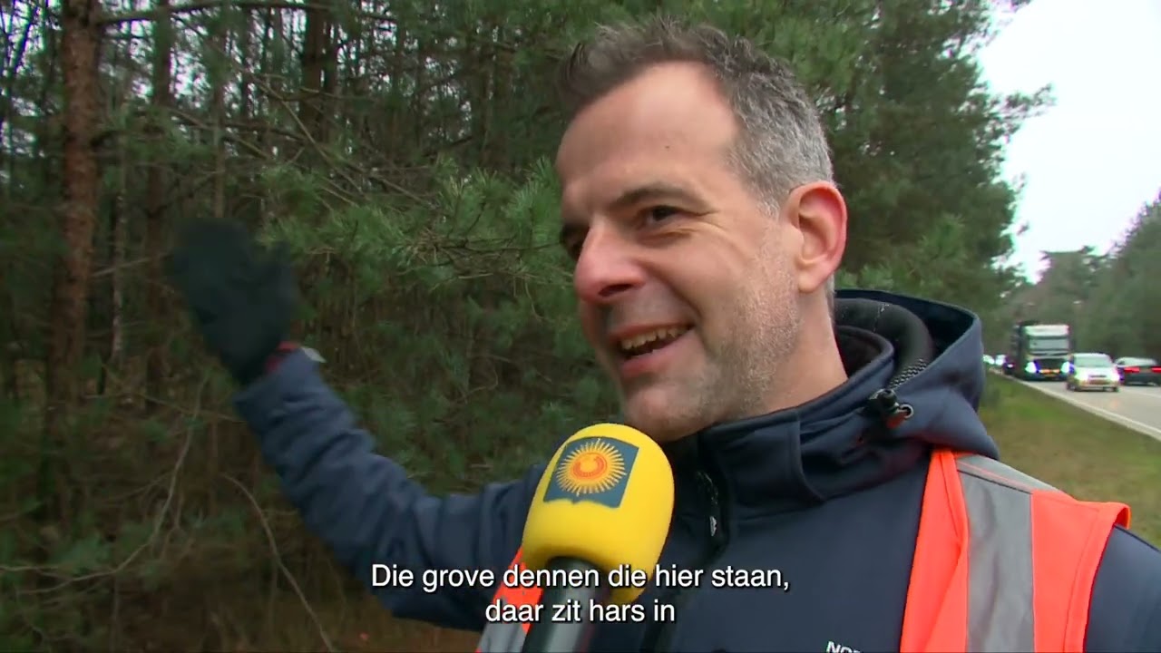 Omvorming bosrand vervroegd door werkzaamheden netverzwaring