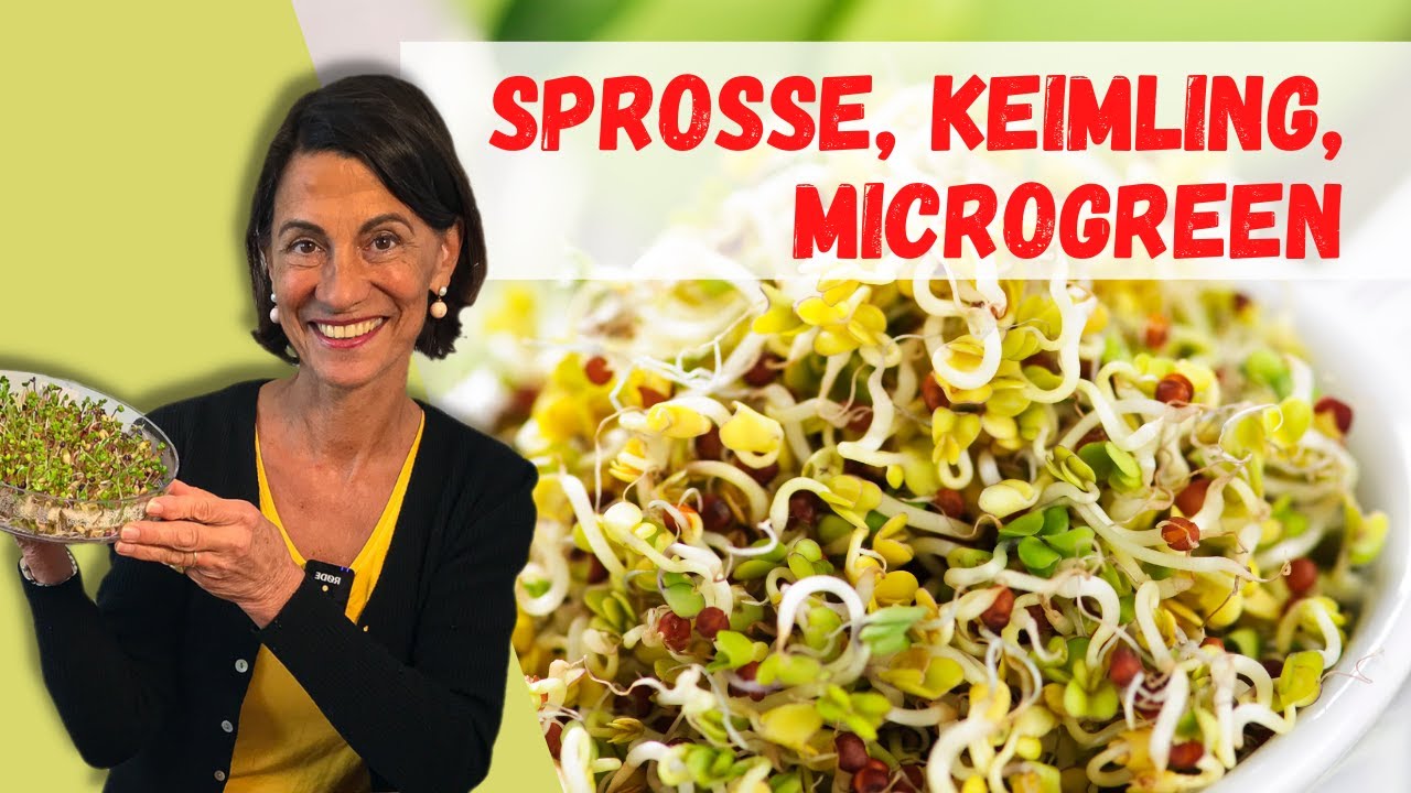 Mit MIKROGEMÜSE fit durch den Winter! | Ernährungsexpertin Dagmar von Cramm erklärt