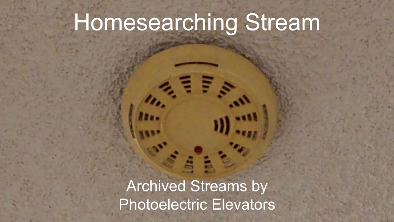 Homesearching Stream #42