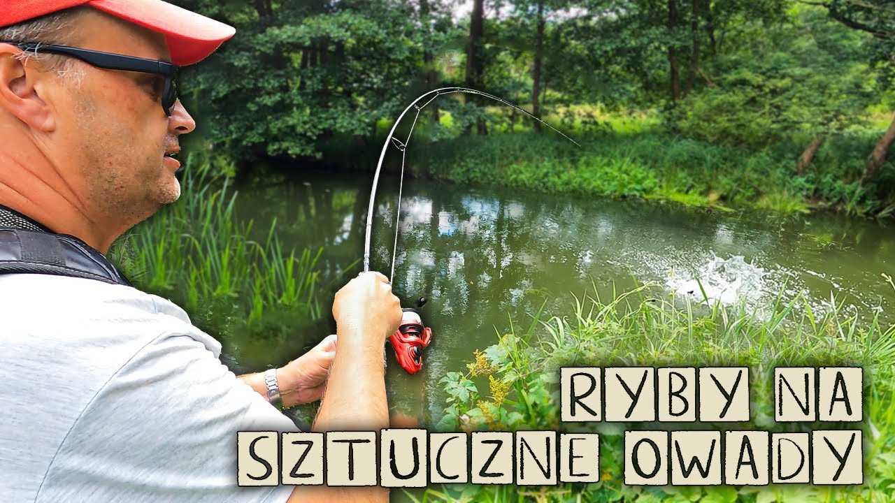 Złowiliśmy dzikie RYBY w ZIELSKACH na imitacje OWADÓW !