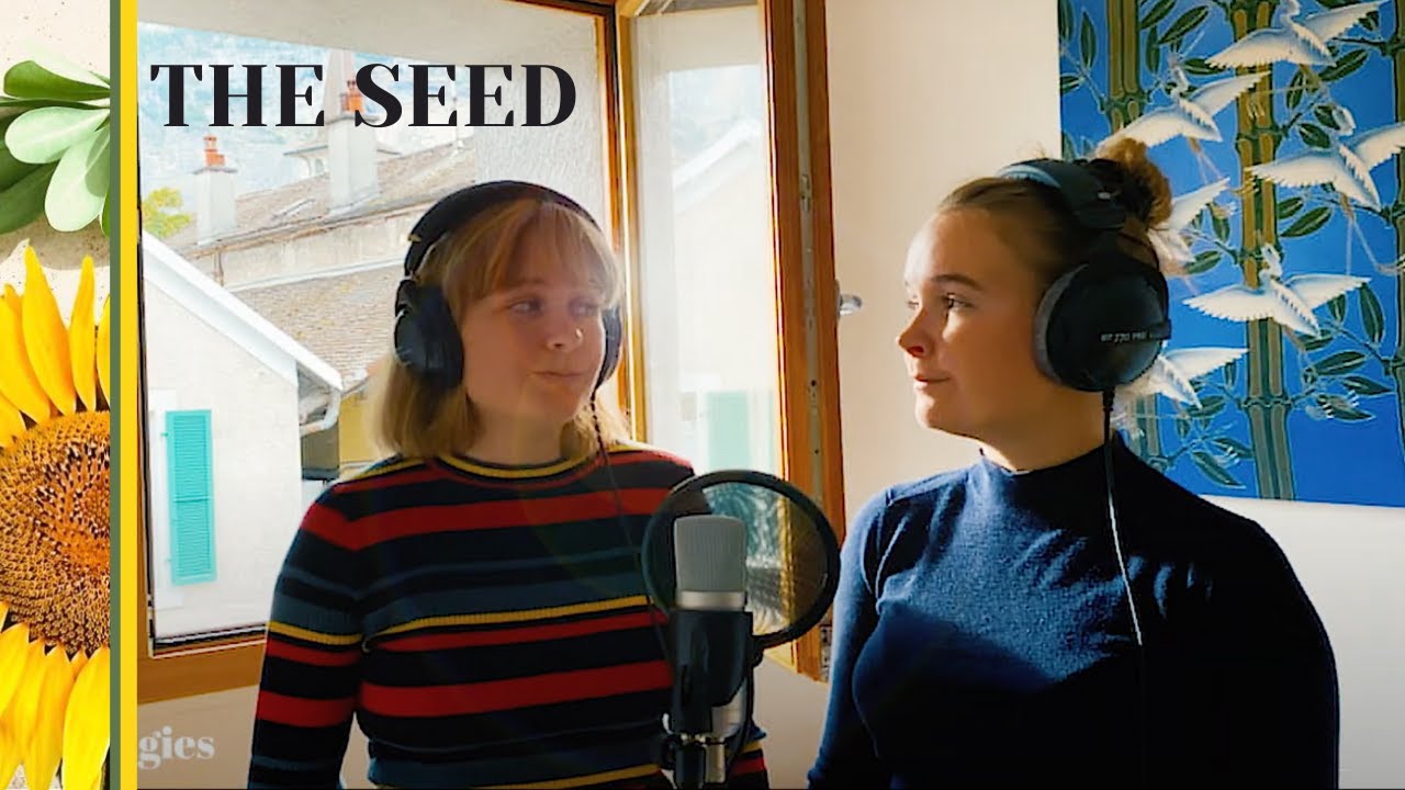 The Seed - AURORA (cover)